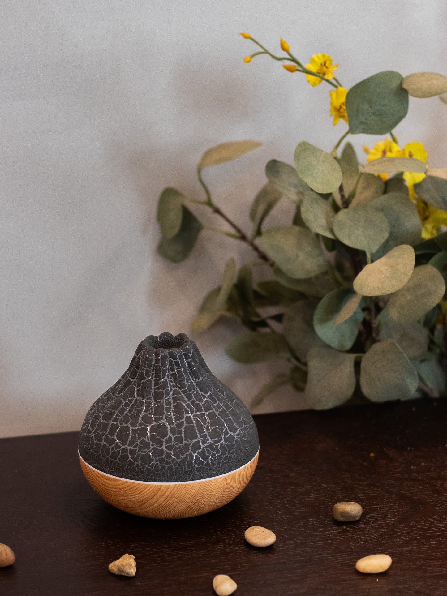 LavaMist Humidifier