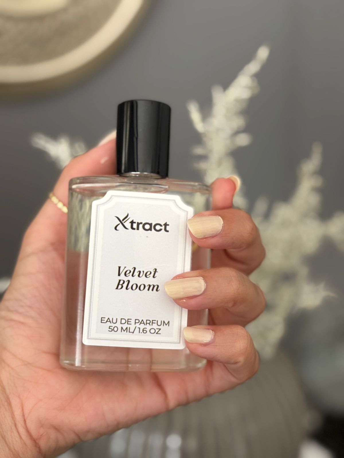 Velvet Bloom
